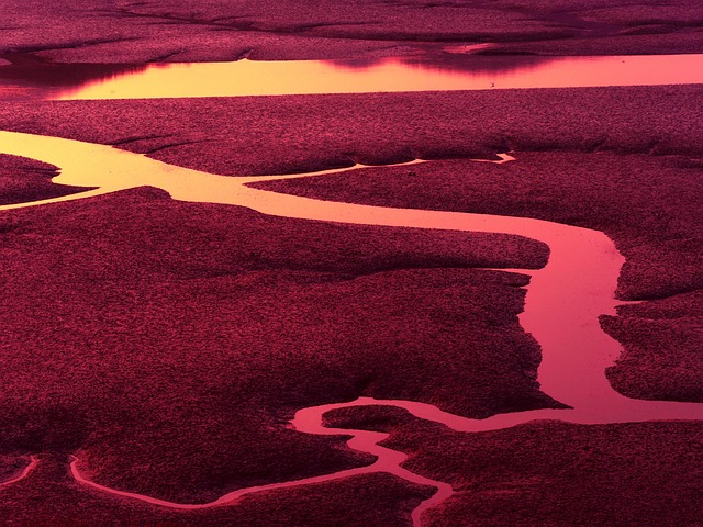 Blood Image